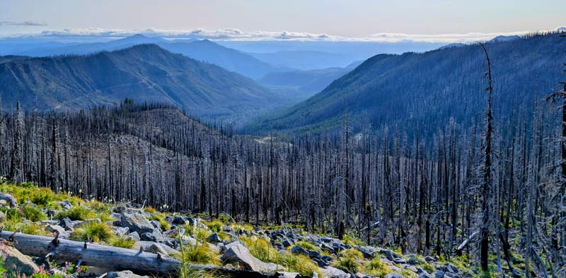 Brett Buskirk Redemption Through Backpacking
