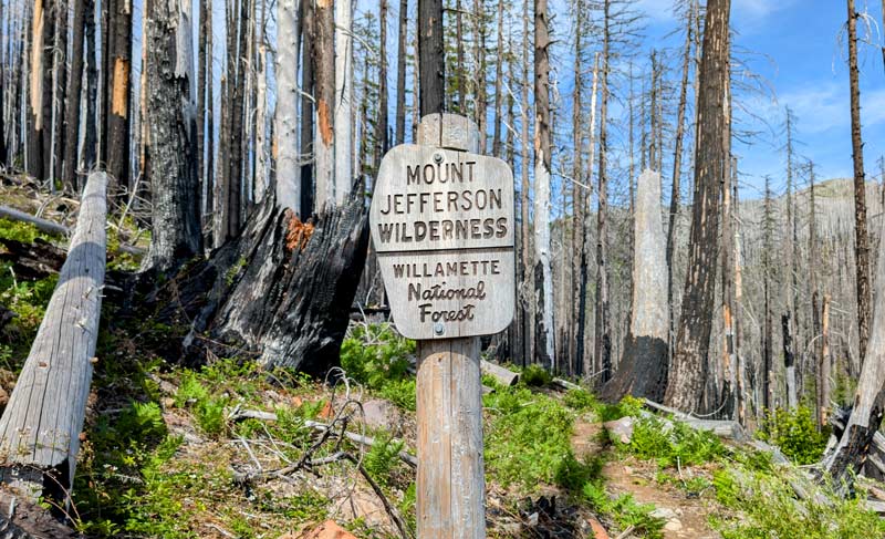 Brett Buskirk Redemption Through Backpacking
