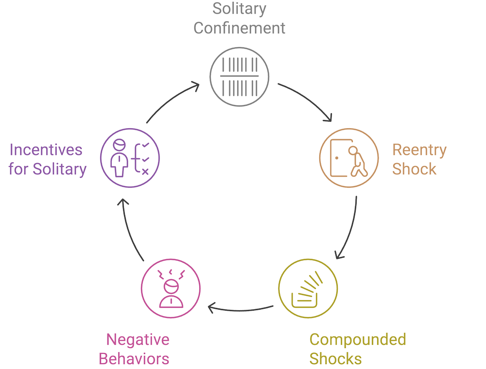 Solitary Confinement Cycle